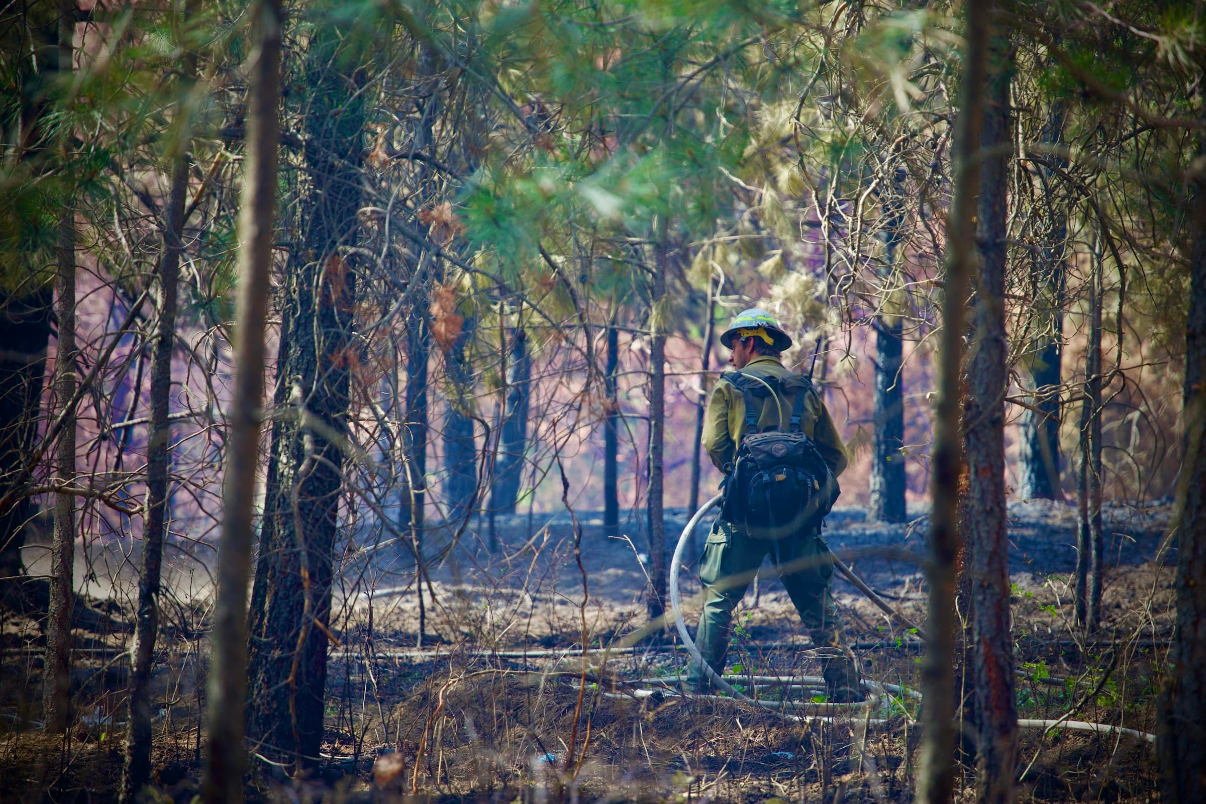 Wildland firefighter working an active fireline